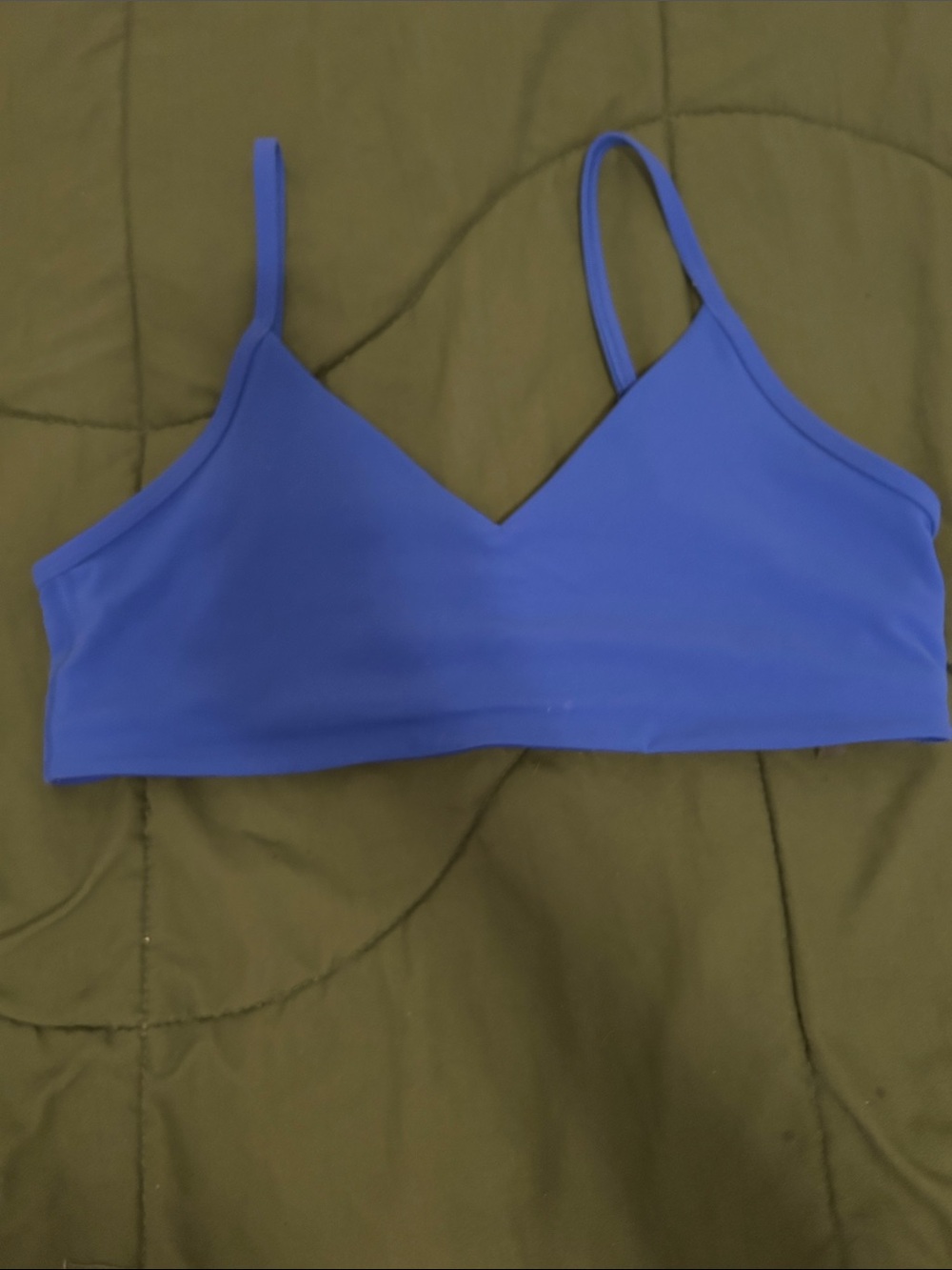 Aritzia Golden Deep Blue Scoop Bralette